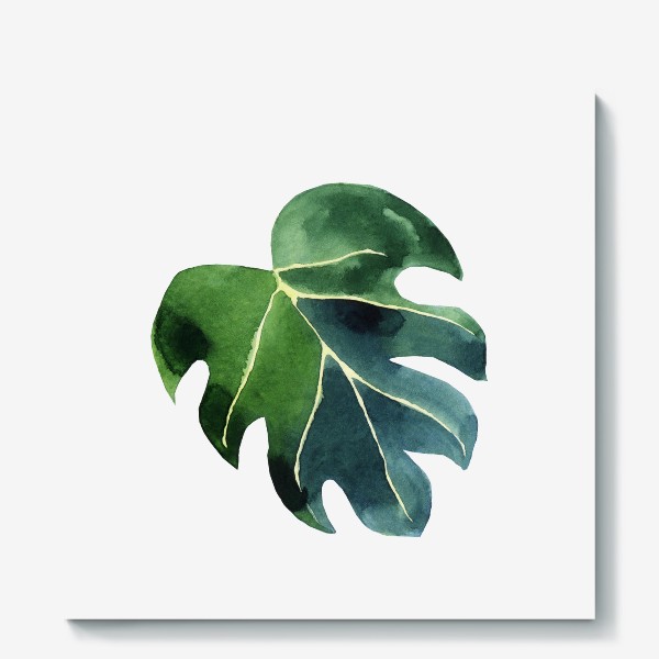 Холст «Лист монстеры акварельный, тропическое зеленое растение»