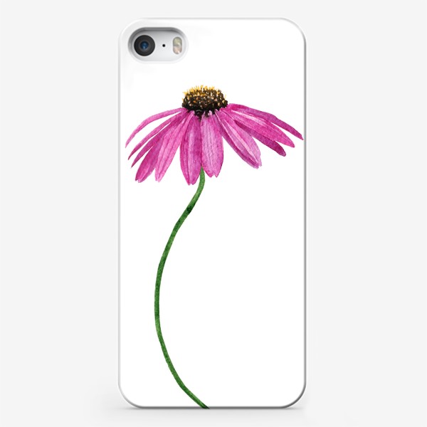Чехол iPhone &laquo;Розовый цветок эхинацеи акварельный&raquo;
