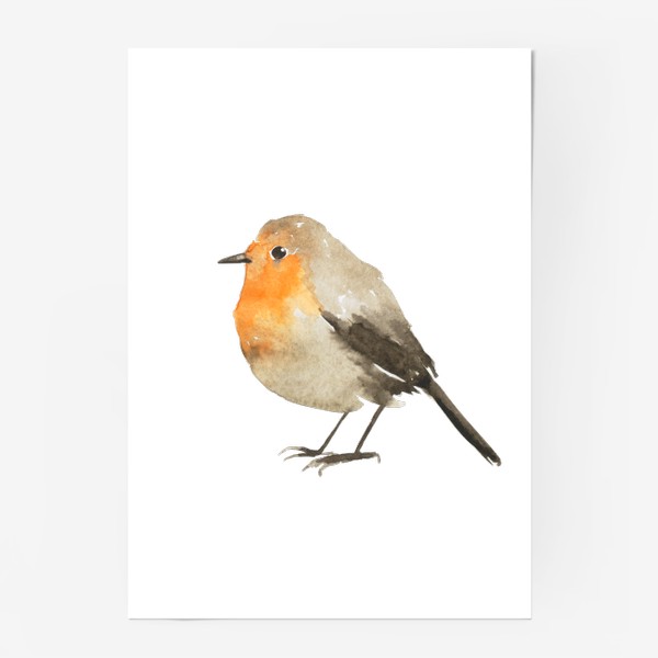 Постер &laquo;Акварельная малиновка птица, милый принт&raquo;