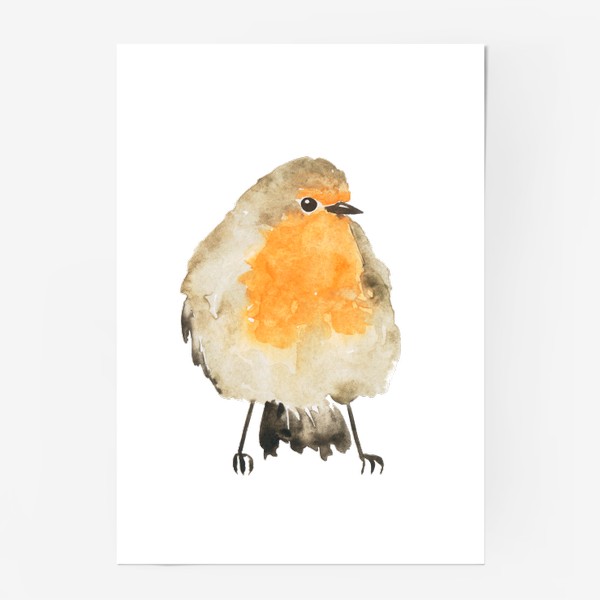 Постер «Птица малиновка, акварельный принт»