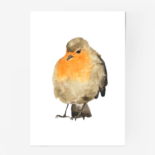 Постер «Птица малиновка оранжевая, акварель»