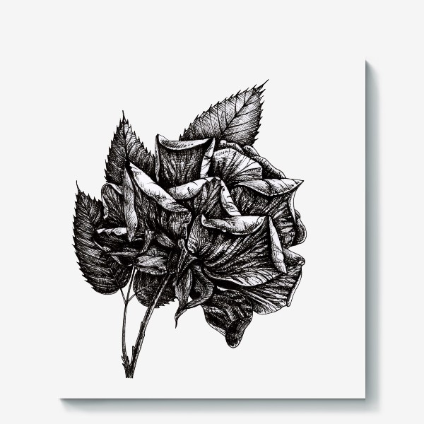 Холст «Чёрная роза»