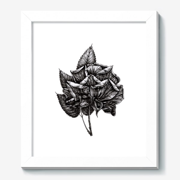 Картина «Чёрная роза»