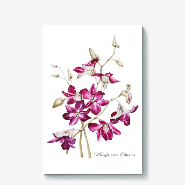 Холст «Орхидеи»
