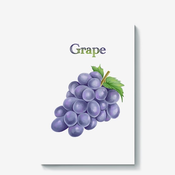 Холст «Grape, виноград»