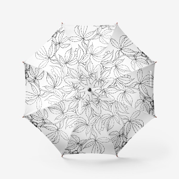 Зонт «Дикий виноград, ботанический скетч ветки изогнутой дикого винограда »