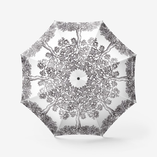Зонт «Яблоня, графика в винтажном стиле.»