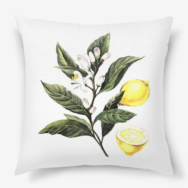 Подушка «Лимон. Ботаническая иллюстрация»