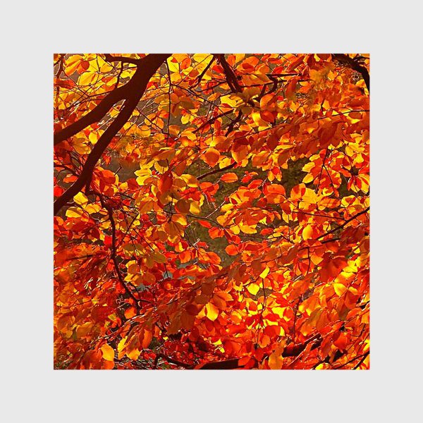 Шторы «Волшебство осени, осенние листья на ветвях »