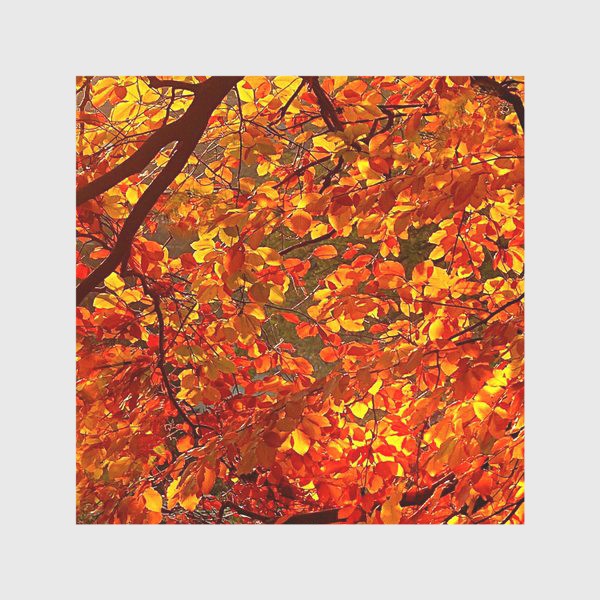 Скатерть «Волшебство осени, осенние листья на ветвях »