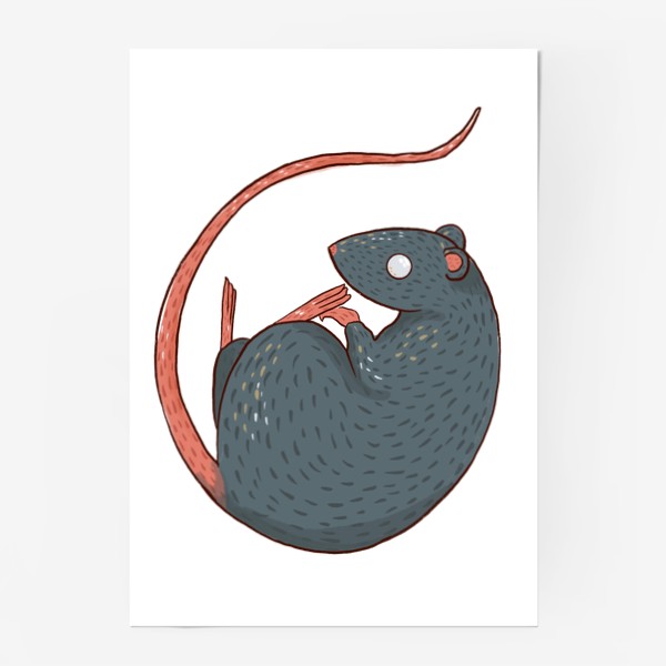 Постер «Сонный крыс »