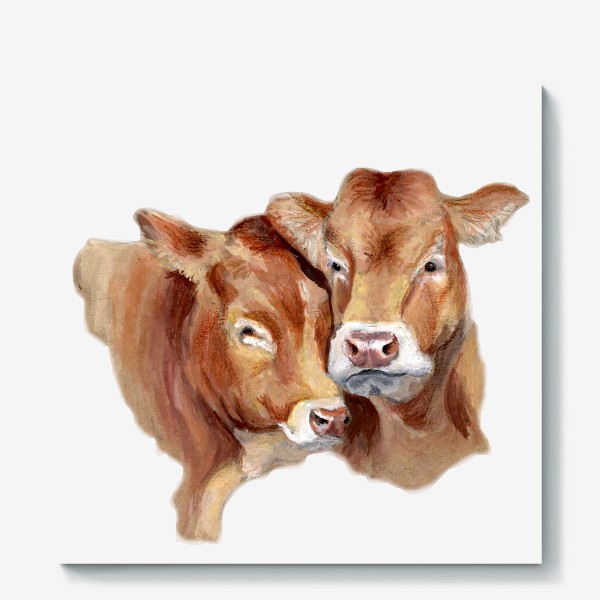 Холст «Пара милых коров портрет»