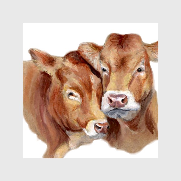 Шторы «Пара милых коров портрет»