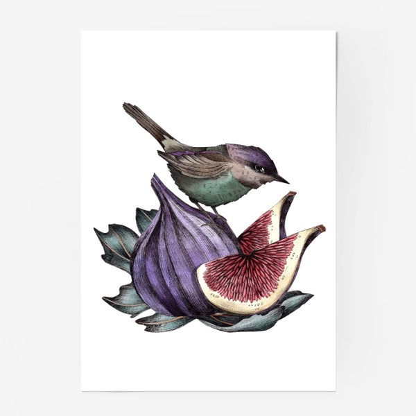 Постер «Птичка и инжиры»