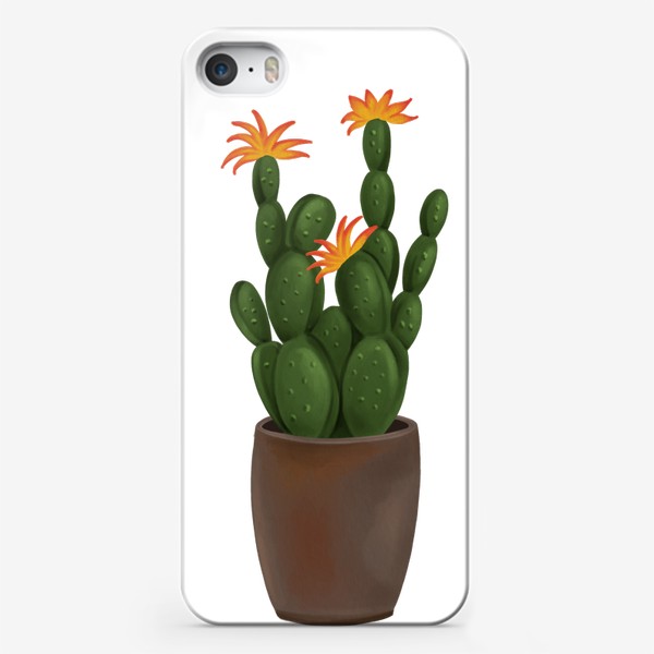 Чехол iPhone «Цветущий Кактус в горшке »