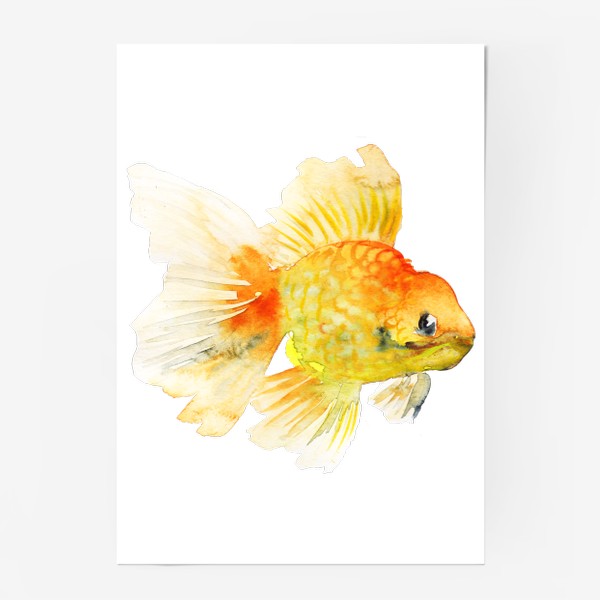 Постер «Золотая рыбка»
