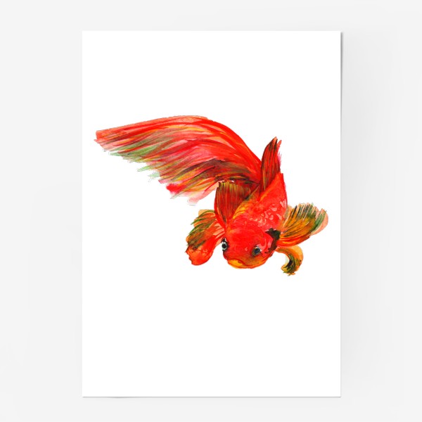 Постер «Губастая рыбка»
