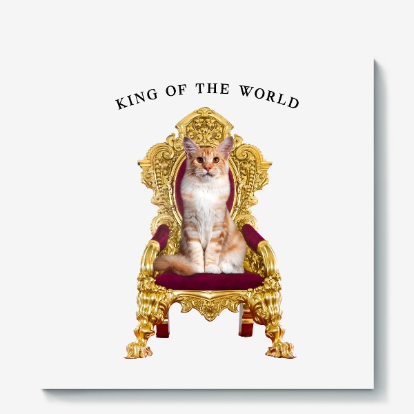 Холст «Кот - Король мира»