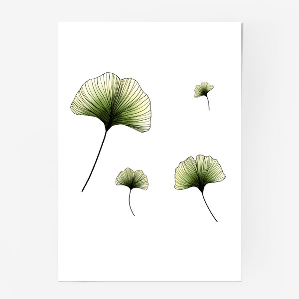 Постер «Листья Гинкго в цвете»