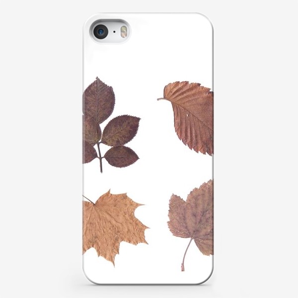 Чехол iPhone «Осень. Осенние листья. Гербарий»