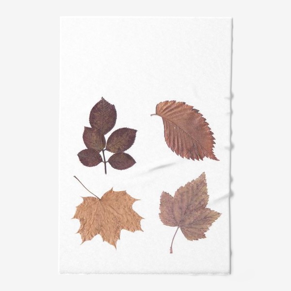 Полотенце «Осень. Осенние листья. Гербарий»