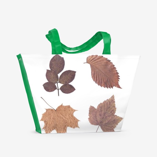 Пляжная сумка &laquo;Осень. Осенние листья. Гербарий&raquo;