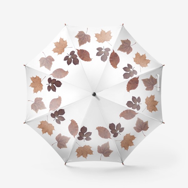 Зонт «Осень. Осенние листья. Гербарий»