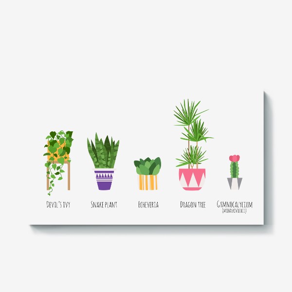 Холст «Домашние растения»