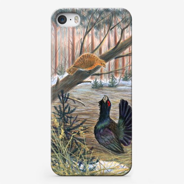 Чехол iPhone «Весенний лес»