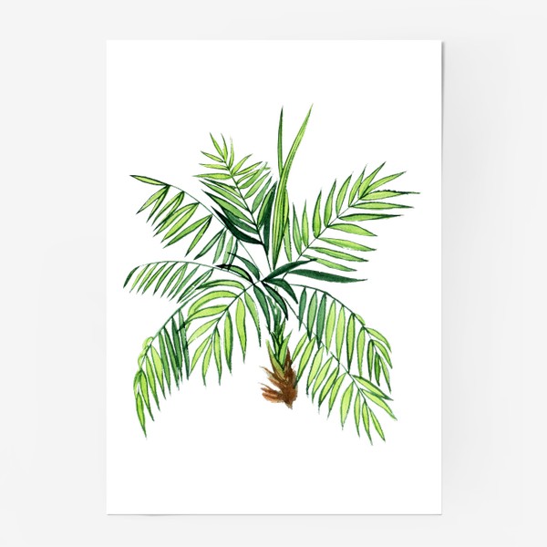 Постер «Пальма акварельная тропический принт»