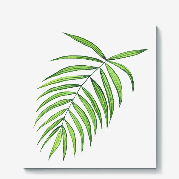 Холст «Пальмовый лист акварельный, летний принт»