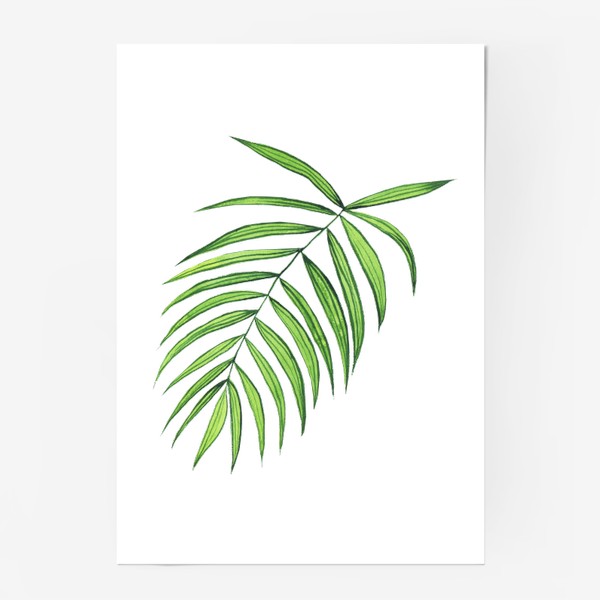 Постер «Пальмовый лист акварельный, летний принт»