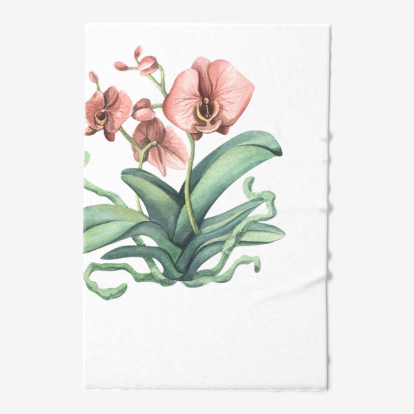 Полотенце «Розовая орхидея, цветок. Акварель.»