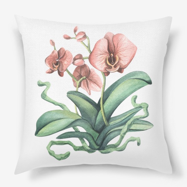Подушка «Розовая орхидея, цветок. Акварель.»
