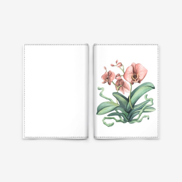 Обложка для паспорта «Розовая орхидея, цветок. Акварель.»