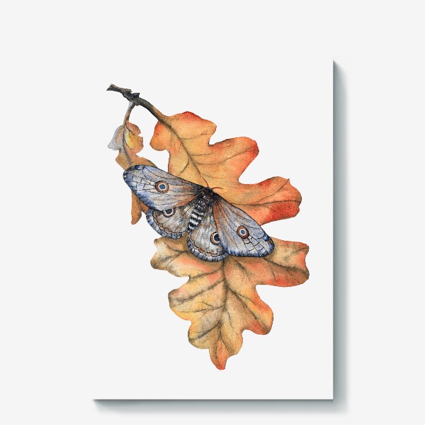 Холст «Бабочка Мотылек Листья Осень Дуб Насекомые»