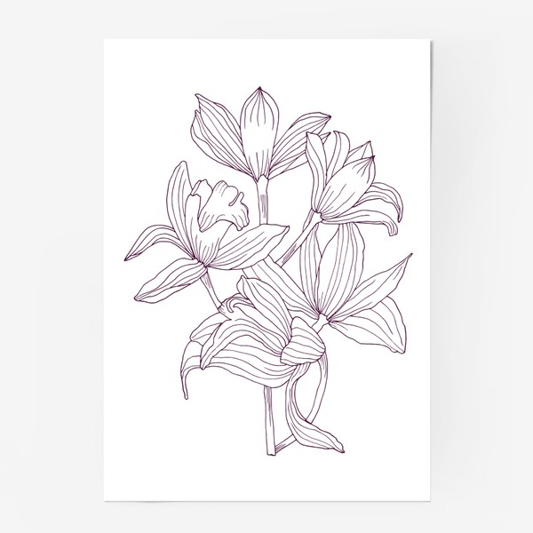 Постер «Ветка орхидеи»