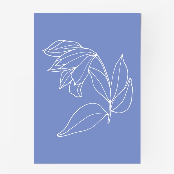 Постер «Белый цветок на синем»