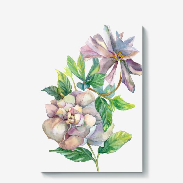 Холст «Цветок Гардения. Акварельная иллюстрация на прозрачном фоне»