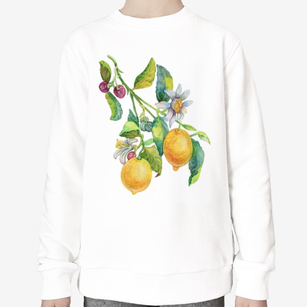 Свитшот «Ветка лимона с цветками и плодами»