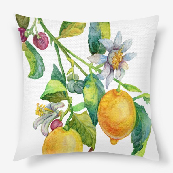 Подушка «Ветка лимона с цветками и плодами»