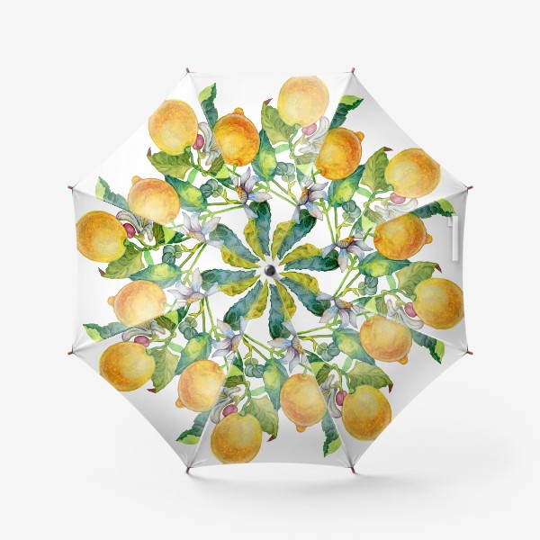 Зонт «Ветка лимона с цветками и плодами»