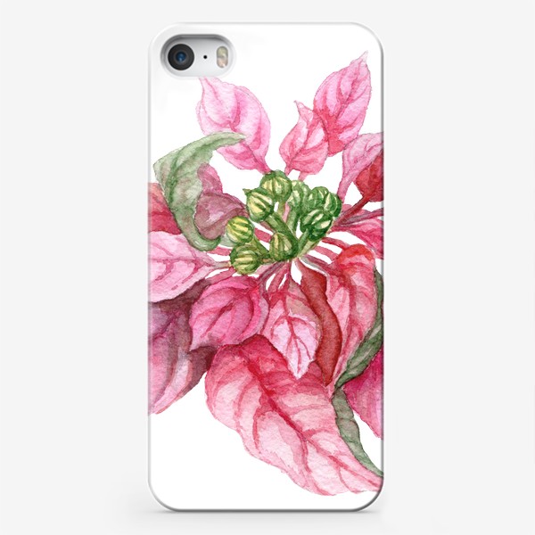 Чехол iPhone «Пуансеттия, молочай, Рождественская звезда. Акварель»
