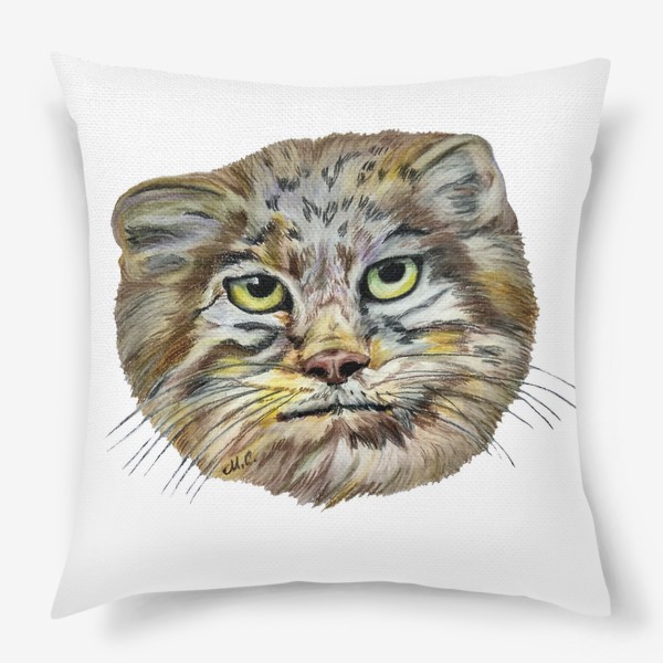 Подушка «Манул или палласов кот»