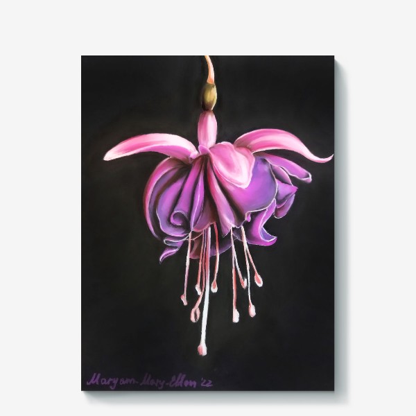 Холст &laquo;Розово-фиолетовый цветок фуксии крупным планом на черном фоне&raquo;