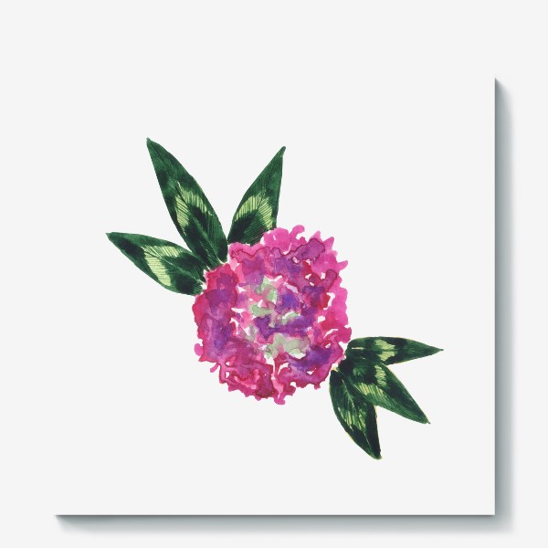 Холст «Акварельный цветок розовый клевер»