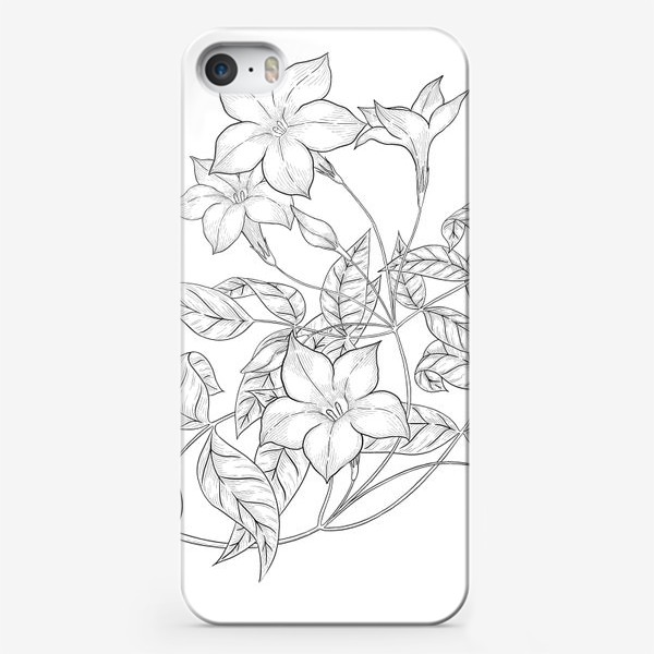 Чехол iPhone «Цветок жасмина. Графика»