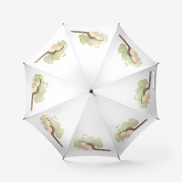 Зонт «Бурундук, мечтающий об орешке (детская серия с лесными животными), постер в детскую»