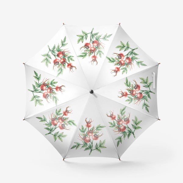 Зонт «Ветка шиповника с ягодами»
