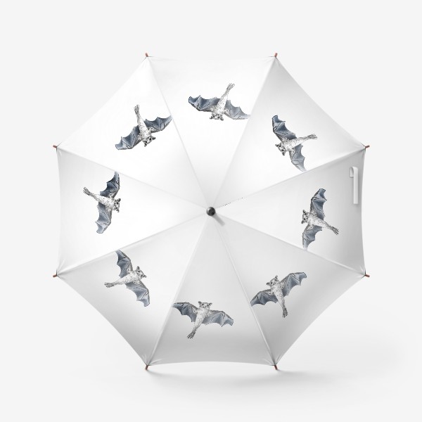 Зонт «Милая летучая мышь в полете»